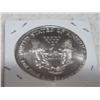 Image 2 : 1996 SILVER EAGLE