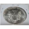 Image 2 : 1996 SILVER EAGLE