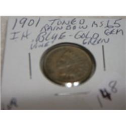 1901 INDIANHEAD CENT