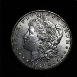 1900-s Morgan Dollar Grades Select Uncirculated ms63
