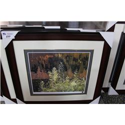 Limited Edtion Print