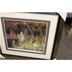 Limited Edition Print