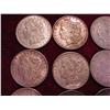 Image 2 : 12 - 1921D MORGAN SILVER DOLLARS X$