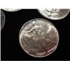Image 2 : UNITED STATES MINT PLASTIC CONTAINER OF 20 - 1986  1OZ SILVER DOLLARS X$