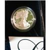 Image 1 : 269. 2006 W American Eagle Proof Dollar in original case of issue with literature.
