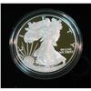 Image 1 : 270. 2007 W American Eagle Proof Dollar in original case of issue with literature.