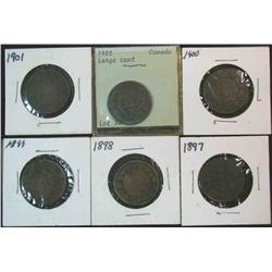 841. 1897, 98, 99, 1900, 01 & 02 Canadian Lg. Cents.