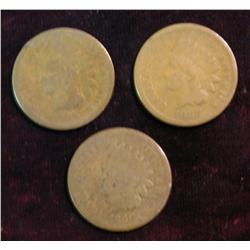 1185. 1865 AG, 66 AG & 67 G. Indian Head Cents.