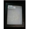 Image 1 : 1417. 4" x 6" frame of Deep Sea Creatures. Glass fronted case.