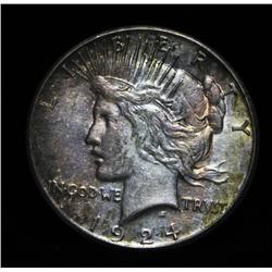 1924-s Peace Dollar $1 Grades ms61 Nicely toned with color