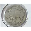 Image 2 : 1916-S BUFFALO NICKEL (GOOD)