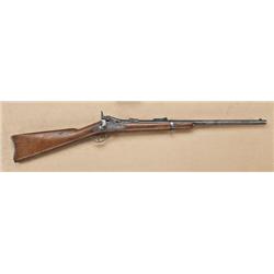 Springfield first-model carbine, with Custer  Battlefield association, serial #41381. Returned  to a