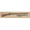 Image 1 : Springfield model 1884 Trapdoor rifle, .45-70  caliber, showing Buffington rear sight, serial  #4686