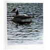 Image 3 : Lot of 10 Prints all numbered and signed.  Tranquility" by Larry Barton  image size 16" x 18  1/2". 