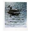 Image 8 : Lot of 10 Prints all numbered and signed:  “Tranquility” by Larry Barton, image size 16” x 18  ½”., 