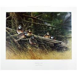 Lot of 10 Prints all numbered and signed:  Bobwhite Covey" by Gregory F. Messier  image size  20" x 