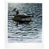 Image 5 : Lot of 10 Prints all numbered and signed:  “Tranquility” by Larry Barton, image size 16” x 18  ½”., 