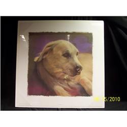 Yellow Lab, signed, open edition print by Nancy Noel and $100 Gift Certificate from Kelly's Custom F