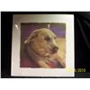 Image 1 : Yellow Lab, signed, open edition print by Nancy Noel and $100 Gift Certificate from Kelly's Custom F