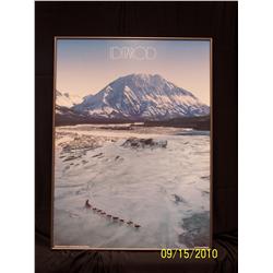Framed Iditarod poster