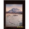 Image 1 : Framed Iditarod poster