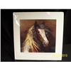 Image 1 : Stallion print signed by Nancy Noel
