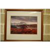 Image 1 : Framed original limited edition Photo (347/950) Denali, AK  Signed and dated by photographer Tom Man