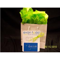 Hair cut & style from Evan Todd Aveda Salon