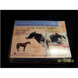 Spurgeon's Color Atlas of Large Animal Anatomy:  The Essentials