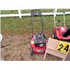 Image 1 : push mower