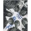 Image 1 : Jefferson Airplane