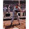 Ted Williams