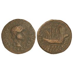 CELTIBERIAN COINS - As. ÉPOCA DE TIBERIO. ILERCAVONIA. Anv.: TI. CAESAR DIVI. AVG. AVGVSTVS. Cabeza 
