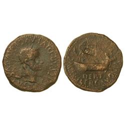 CELTIBERIAN COINS - As. ÉPOCA DE TIBERIO. ILERCAVONIA. Anv.: TI. CAESAR DIVI AVG. AVGVSTVS. Cabeza l