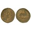 Image 1 : CELTIBERIAN COINS - Semis. BOLSCAN. Anv.: Cabeza barbada a derecha, detrás ¿delfín?-. Rev.: Pegaso a