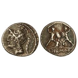 ROMAN COINS: ROMAN REPUBLIC - Denario. 103 a.C. MINUCIA-19. Q. Minucius Thermus M.f. Anv.: Cabeza de