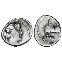ROMAN COINS: ROMAN REPUBLIC - Denario. 90 a.C. TITIA-2. Q. Titius. Anv.: Cabeza de Baco a derecha. (