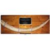 Image 1 : Complete ivory elephant tusk mounted on a large wooden board with plaque, very rare and impressive.