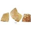 Image 1 : Lot of 3 coral-encrusted earthenware olive jar shards.
