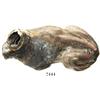 Image 1 : Chinese porcelain "fu dog" figurine.