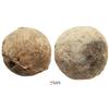Image 1 : Lot of 2 lead-wrapped (rare thus) iron small cannonballs.