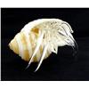 Image 1 : Hand Formed Glass Hermit Crab (DEC-392)