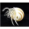 Image 2 : Hand Formed Glass Hermit Crab (DEC-392)