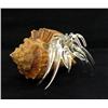 Image 2 : Hand Formed Glass Hermit Crab (DEC-389)