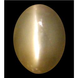 .87ct Exclusive Transparent Chrysoberyl Cats Eye  (GEM-24008)