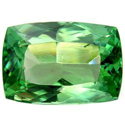 16.74ct Natural Green Kunzite  (GEM-24560)