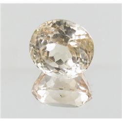 12.70ct Natural King Imperial Topaz Appr Est $10k (GEM-26312)