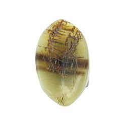 Rare Water Buffalo Horn Ring (JEW-175)