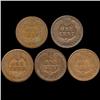 Image 2 : 1874 Indian Cent Lot of 5 Circulated (COI-7478)