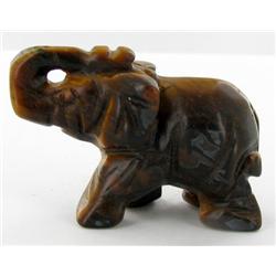 19ct Handcarved Tiger Eye Elephant (ANT-1076)